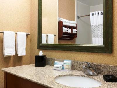 Hampton Willowbrook Mall 3* Houston